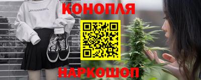 Альфа ПВП Ачхой-Мартан