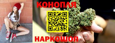 Альфа ПВП Ачхой-Мартан